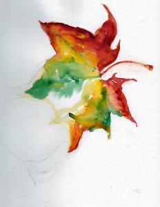 WatercolorJOY  Sycamore Leaf continues